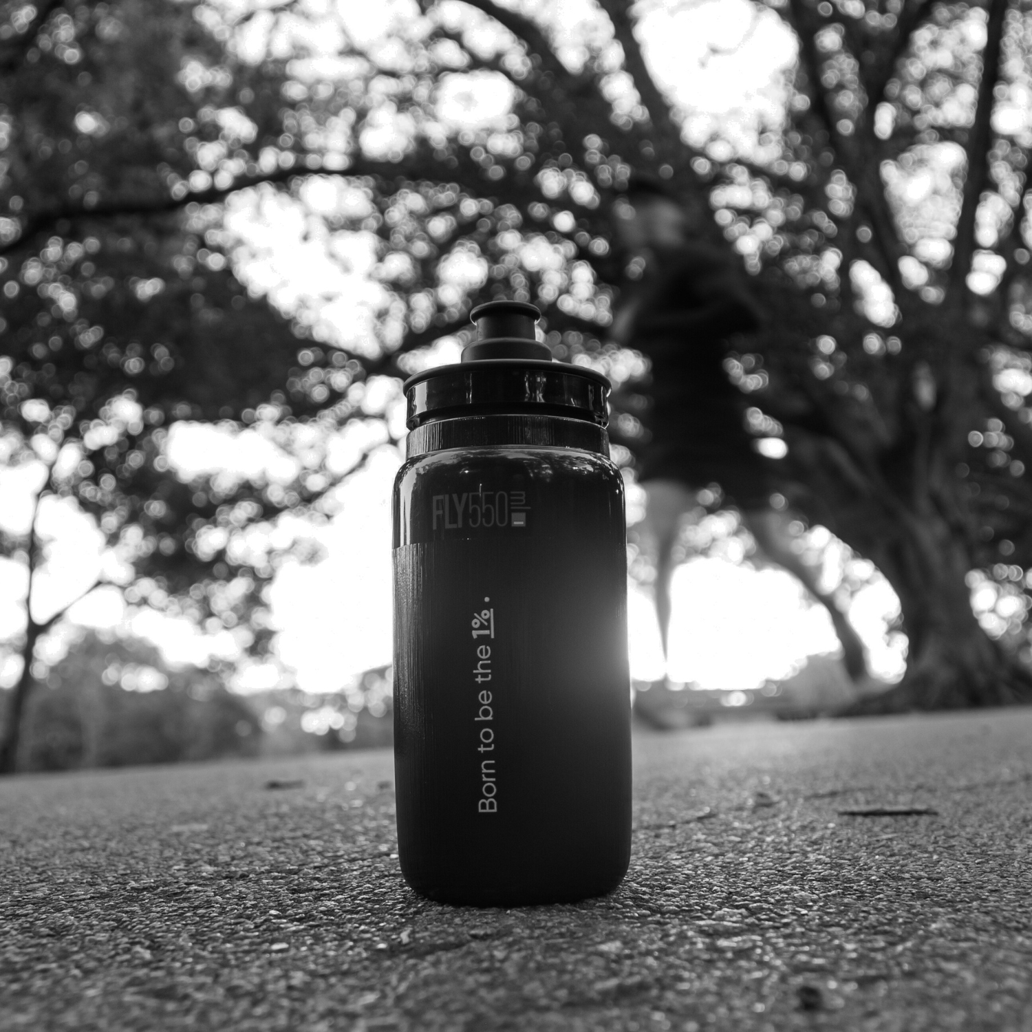 Squeeze SC X Elite FLY